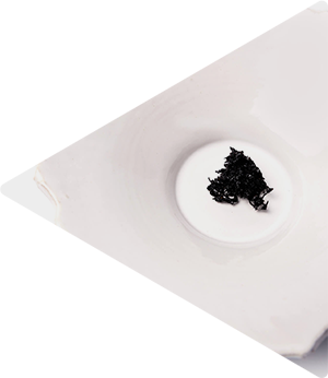Ingelegde hijiki