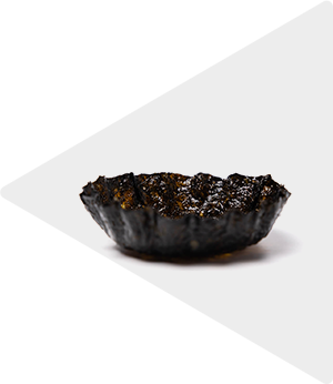 Nori tartelette 1