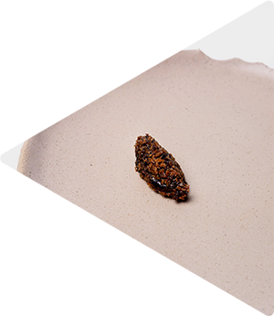 Paddenstoel condiment